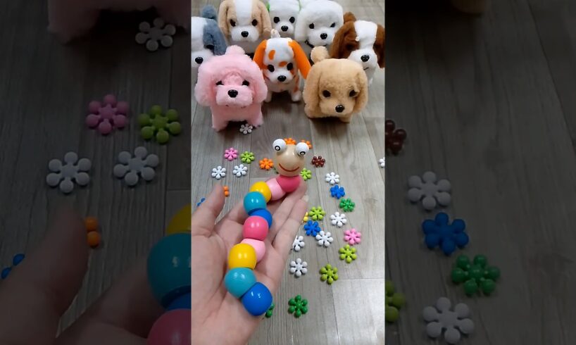 Rainbow 🌈 Satisfying Reverse video ASMR ( cute dog videos ASMR soud)#satisfyingreverse