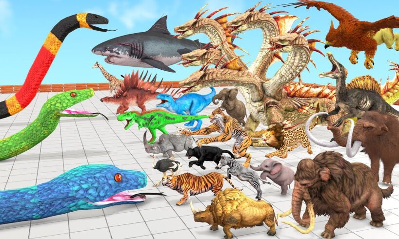 Reptiles Battle - Revolt of Giant Titanoboa vs Wild Animals vs Dinosaurs Animal Revolt Battle Simul