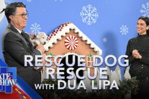 Rescue Dog Rescue with Dua Lipa - Holiday Edition