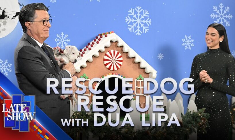 Rescue Dog Rescue with Dua Lipa - Holiday Edition