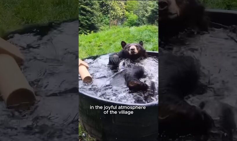 Rescued a baby bear#shorts #shortsvideo #animals #rescue