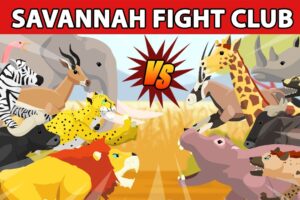 Savannah Fight Club [S1] | Animal Animation