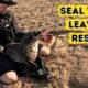 Seal Won't Leave His Rescuer!