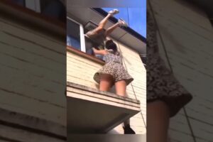 The End 🤣 Best Fails of the Week #shorts #fail #funny #tubedoz