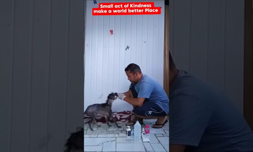 The Man Saved the Poor Little Puppy and Then #dogs #rescue #doglovers