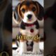 Top 10 most cutest puppy's in the world | #puppies #viral #doglover #comperison