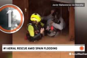 Top 3 Weather Animal Rescue Videos of 2024