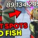 Top 4 LOCATIONS To Fish For Money AND LEVELS In Roblox Fisch!