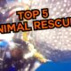 Top 5 Animal Rescues! 👏🏼 #compilation | PAWSOME PETS