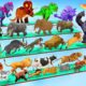 Which Animal vs Dinosaurs vs Prehistoric Mammals Speed Race Run Zigzag Down Course! ARBS