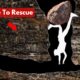 Worst Nightmare Disasters for CAVERS!!! | Compilation