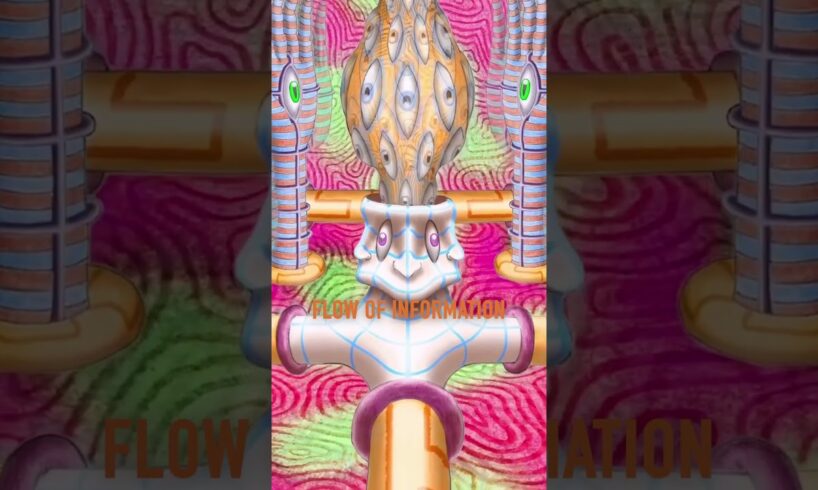 Your Brain on DMT 🪬