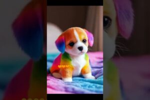 | cute puppies and kittens | dog love | #dog #cat #puppy #kitten #love #cute #shorts #ytshorts