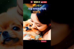 세상에서 가장 귀여운 강아지 TOP5 - Top 5 cutest puppies in the world