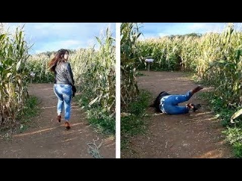 Best Fails of the Week 😂 Funniest Fail Videos 😂  Best Fails Compilation #16