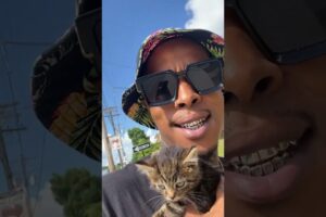 Guy Rescues A Tiny Kitten And Puts Her In His Rap Videos | The Dodo