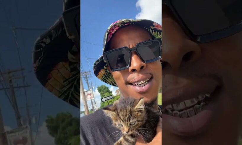 Guy Rescues A Tiny Kitten And Puts Her In His Rap Videos | The Dodo