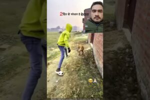 2 दिन से परेशान है बेचारा Dog 🥺🐕