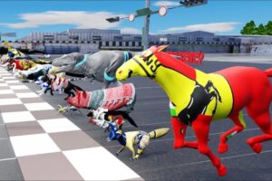 49 Incredible Animals Race Go Head-to-Head in the Animal Grand Prix !