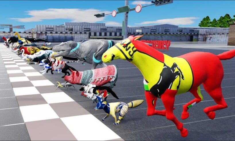 49 Incredible Animals Race Go Head-to-Head in the Animal Grand Prix !