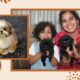 A Day with Little Cute Puppies | Cute Shih Tzu Puppie #cute #puppy