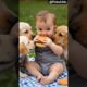 A cute baby👶 with cute puppies🐶 #shorts #puppy