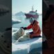 A heartfelt tale of sailors rescuing a severely injured mother polar bear trapped in a net#polarbear