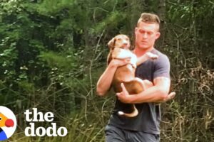 Abandoned Puppy Jumps Into Rescuers Arms | The Dodo