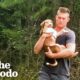 Abandoned Puppy Jumps Into Rescuers Arms | The Dodo