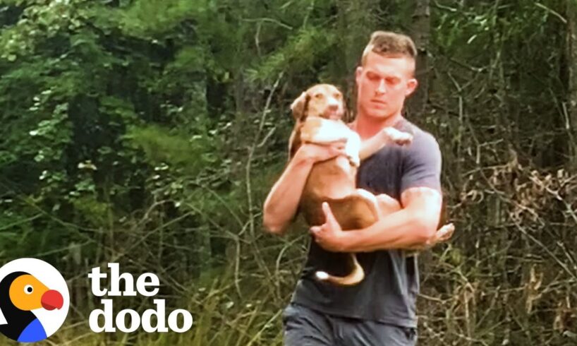 Abandoned Puppy Jumps Into Rescuers Arms | The Dodo