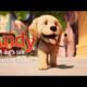 Andy: A Dog's Tale | Full Film | Canine Companions #animation #puppy #servicedog