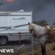 Animal shelters scramble to save pets left behind in L.A. wildfires