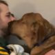 Blind rescue pup melts guy who didn't want him