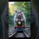 Cat Playing with a Toy Train | #viralshort