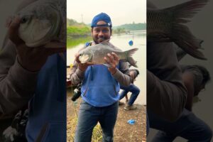 Catla fish #fishing #fish #shortvideo #shorts #shortfeed #trending #travel #india #animals #fishfry