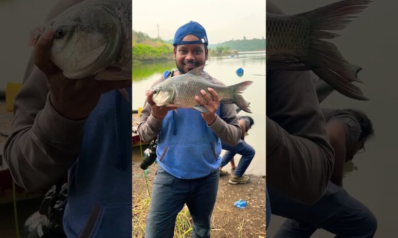 Catla fish #fishing #fish #shortvideo #shorts #shortfeed #trending #travel #india #animals #fishfry