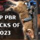 Crash and Clash:The Most Unforgettable Bull Riding Wrecks of 2023