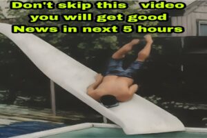 Crazy, Near Death, and WTF Moments [Pt. 03] | Video Compilation 2024 | Videos From World