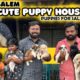 Cute Puppy House Salem | Puppies Price List | Lowest Price | All India Delivery