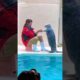 Cute Sea otter playing with a Girl #shorts #seaotter #viralvideo