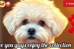 Cute shih Tzu🐶😘|| cute puppies collections🐶😘 #dog #doglover  #puppy #cute #petlover #puppies