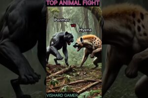 Dangerous animal fight