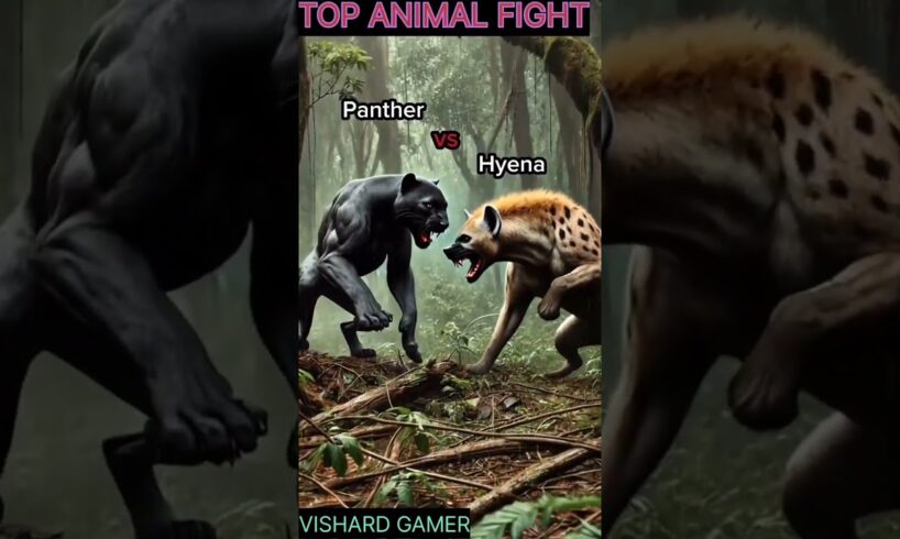 Dangerous animal fight