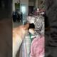 Dog & cat fights🤣🤣, funny cat and dog videos, funny videos #funny #cat #shortvideos #memes