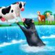 Epic Rescue: Black Cow & White Cow Save Pig from River | Animal Rescue Videos 2024