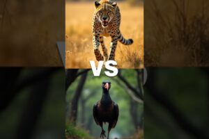 Epic Showdown Smilodon vs Komodo Dragon Who Reigns Supreme #shorts #animalkingdom