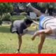 🚨FAILS OF the WEEK !!🏅FUNNY peoples, FAILS and Amazing stunts 🤣