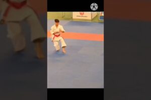 Fight using Kata part 2#karate #mma #shortsvideo #subscribe