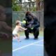 Gorilla and baby play tennis together.#gorillababy #cute #animals #gorilla #baby