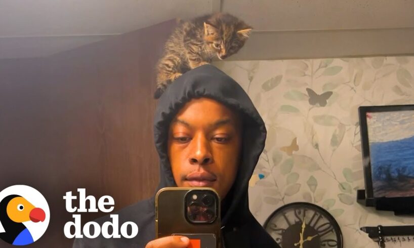 Guy Rescues A Tiny Kitten And Puts Her In His Rap Videos | The Dodo